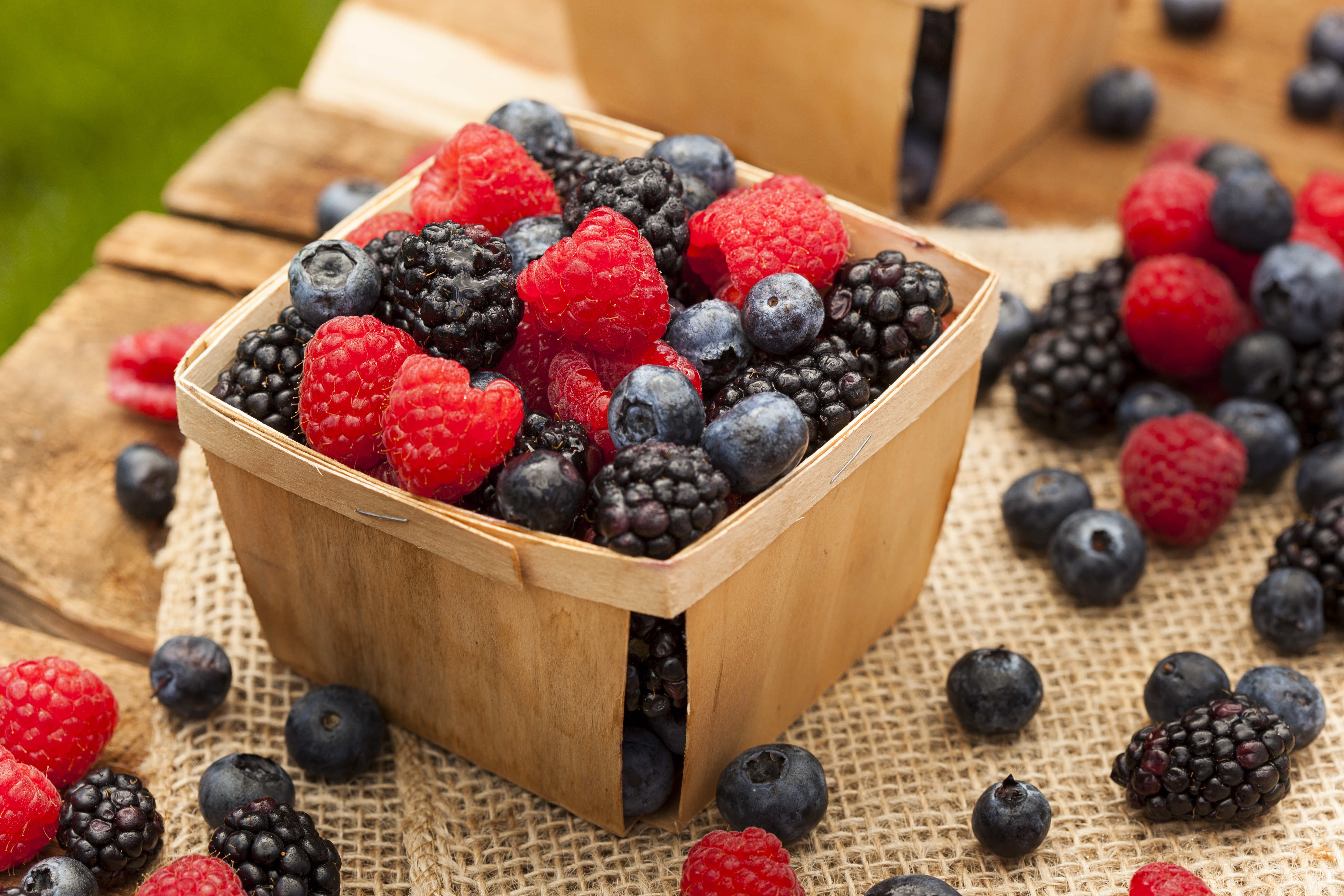 Buy Berry Plants Online