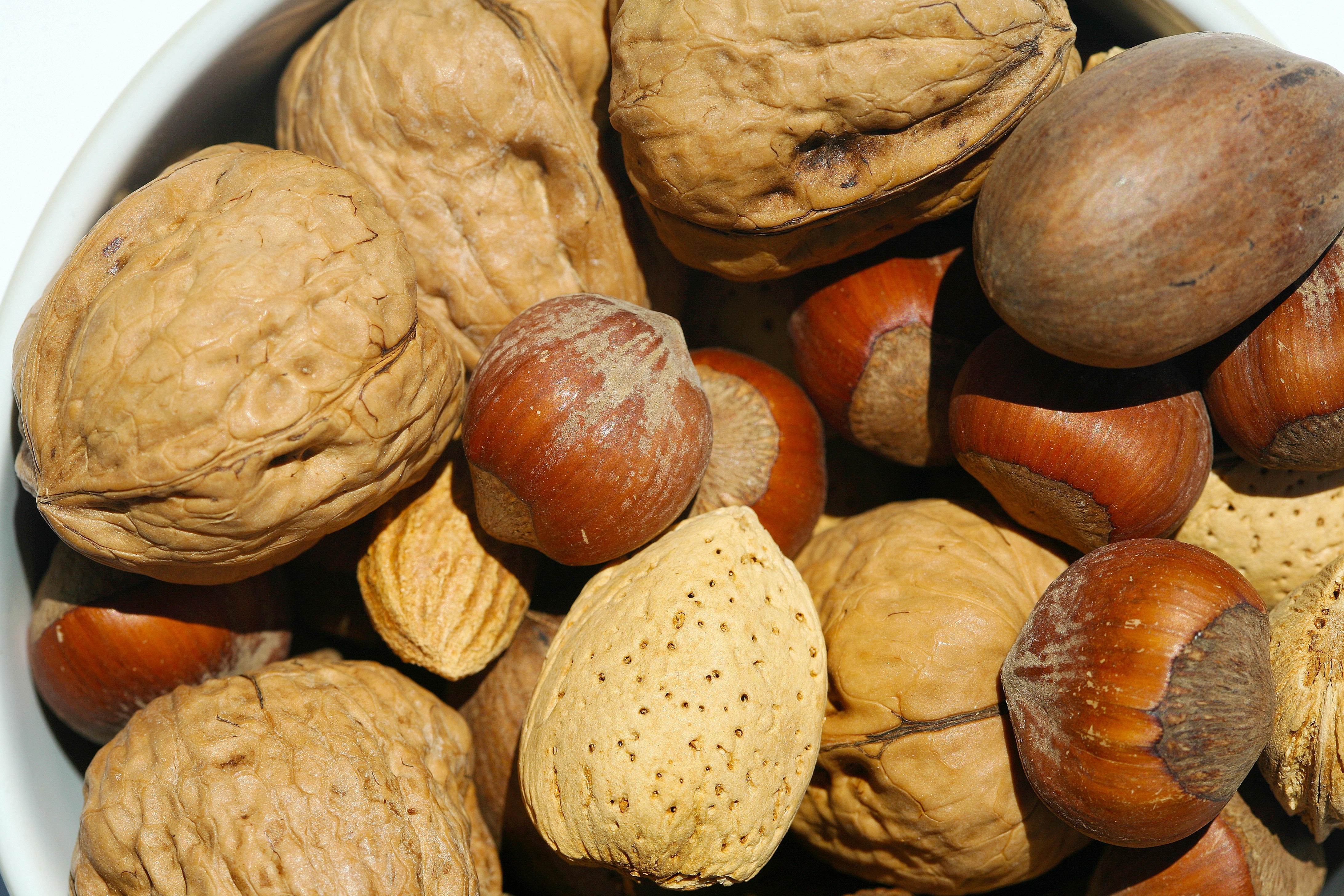 Buy Nut Trees Online