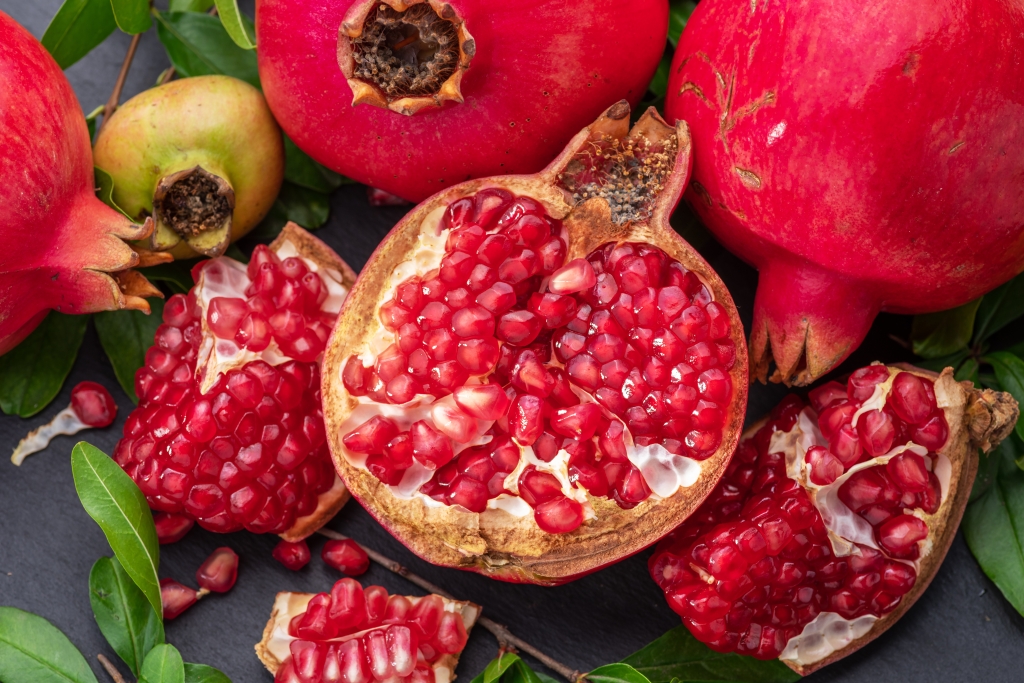 Buy Pomegranate Trees from Ty Ty Nursery