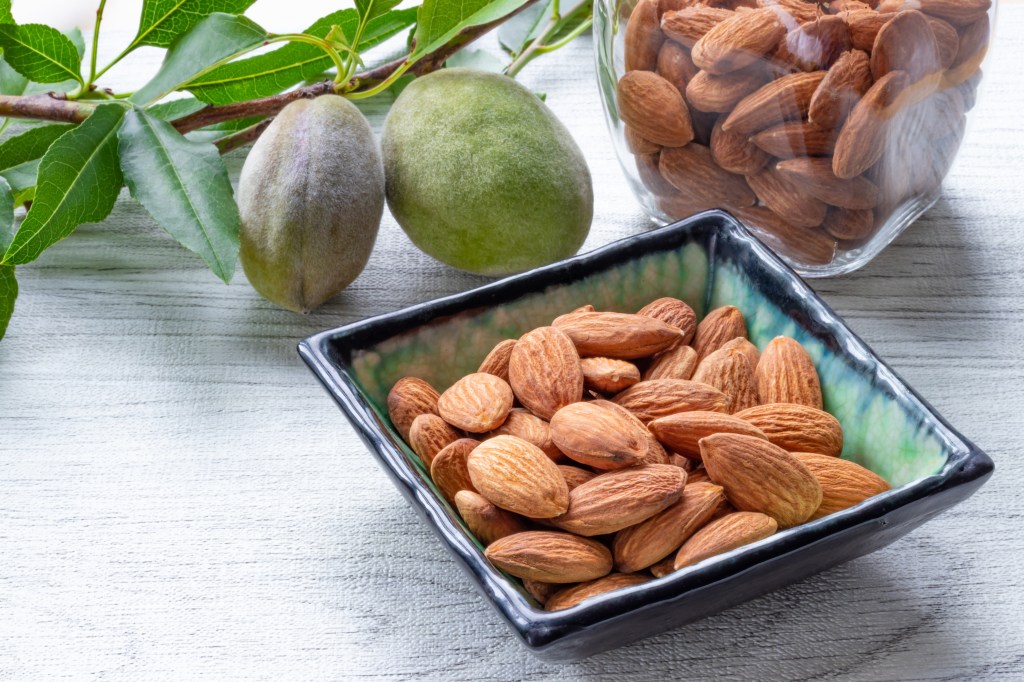 Buy Almond Trees from Ty Ty Nursery