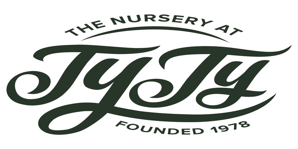 Ty Ty Nursery Reviews