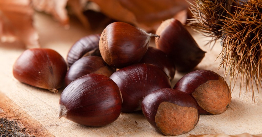 Ten dark chestnuts piled onto a flat piece of wood. Several brown leaves are sitting near the chestnuts.