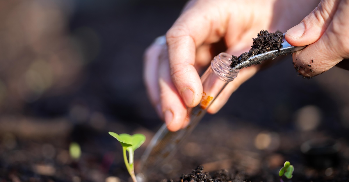 A person using a metal tool to put a soil sample into a test tube. Small green plants grow from the soil.