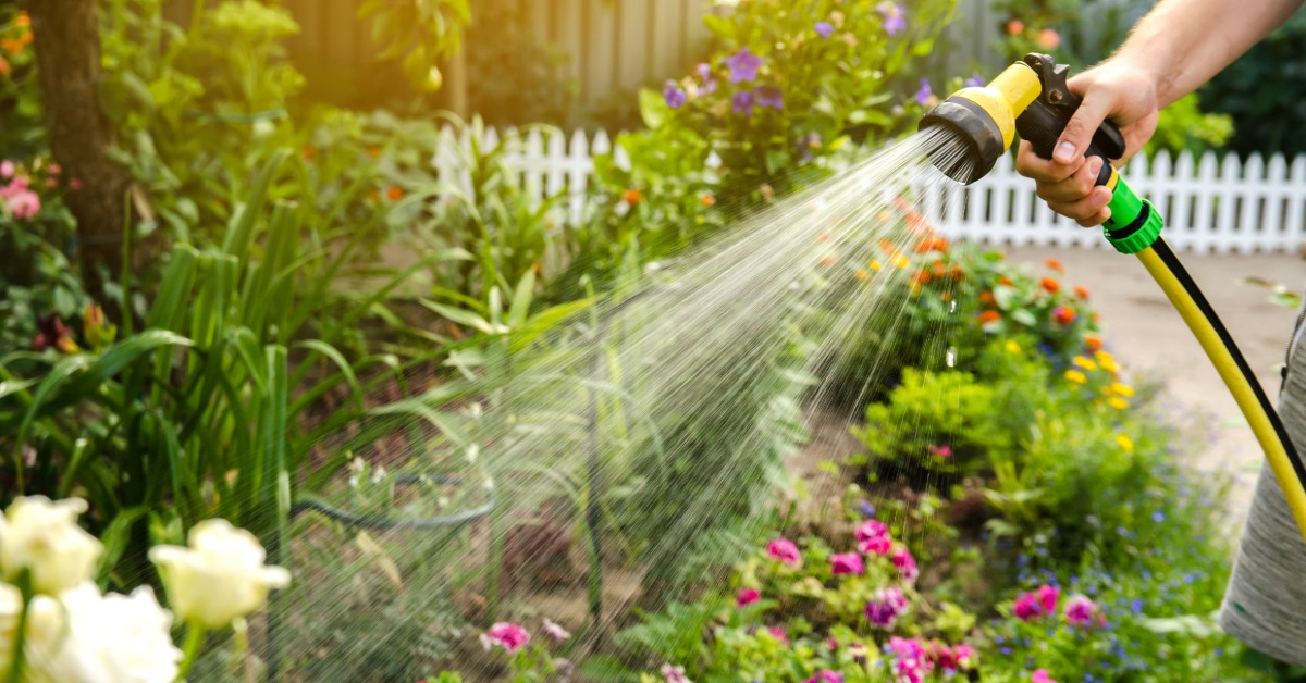 A person spraying a large garden outside their house with a long hose. The weather outside is sunny.